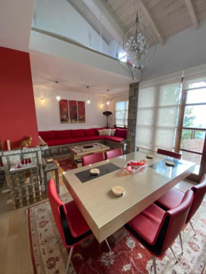 Arachova Vip smart chalet-Villa Eva 1